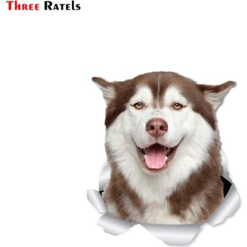 Three Ratels FTC-1050 Happy Siberian Husky Dog Wall Decals 3D Sticker for Walls Toilet House Decoration