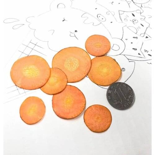 10pcs Dried Pressed Exopy Vegetable Carrot Slices Plant Herbarium For Jewelry Photo Frame Phone Case Bookmark Craft DIY Making