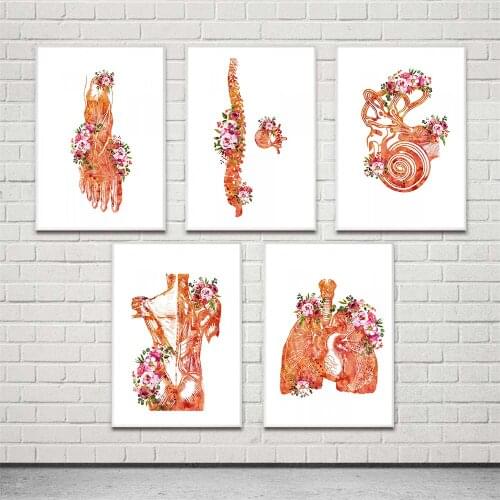 Canvas Pictures Human Organ Home Decor Abstract Paintings Skeleton Wall Art Minimlist Prints Poster Modular Bedside Background