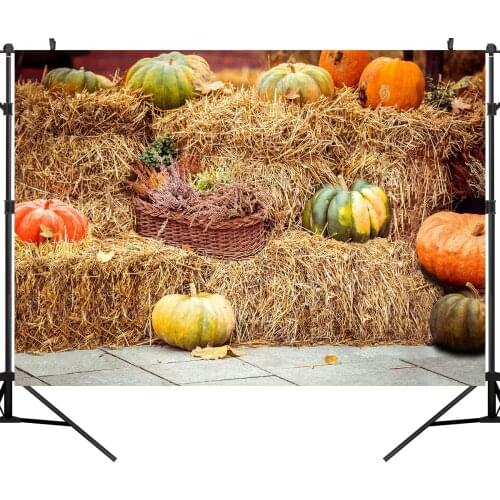 Halloween Backdrop Pumpkin Lantern Castle Forest Moon Tombstone Baby Photography Background for Photo Studio Photophone