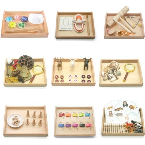 Montessori Sensory Toys Basic Life Skill Material Fine Motor Skill Learning Educational Toys For Children 3 Years H2464H