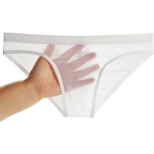 Mens Ice Silk Sexy Underwear Low Rise Briefs Seamless Breathable Mesh Panties See Through Lingerie Low Waist Soft Underwear