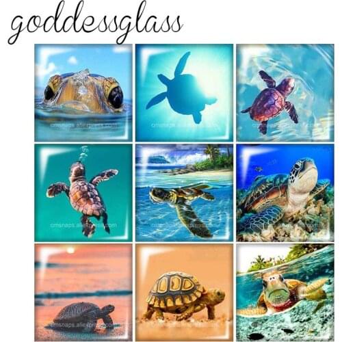 Animals Lion Tiger cats tortoise 10pcs mixed 12mm/20mm/25mm/30mm Square photo glass cabochon demo flat back Making findings