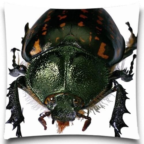 Beetle Cricket animals pattern Pillow Case Cotton polyester Home Decor Fashion Cushion cover For Sofa car Decorative