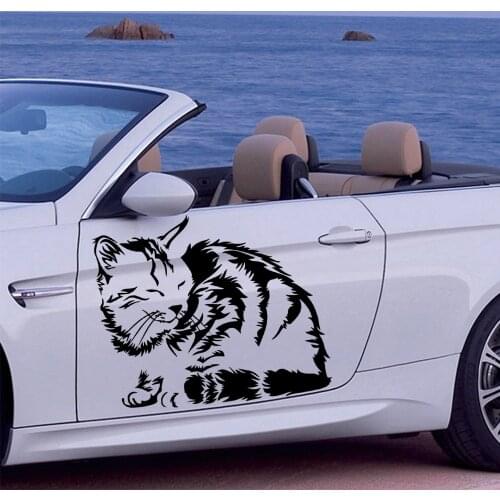 Colorful Cat Carbon Sticker Offroad Suv Waterproof Accessories