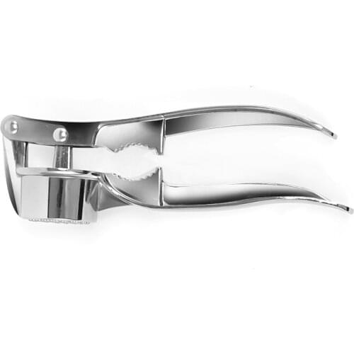 Multifunctional Garlic Press Crusher Stainless Steel Handheld Ginger Mincer Vegetables Ginger Squeezer Masher Kitchen Accessory