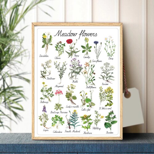Plant Flowers Natural Educational Poster Botanical Kindergarten Wall Art Picture Prints Wall Decor Retro poster kraft paper