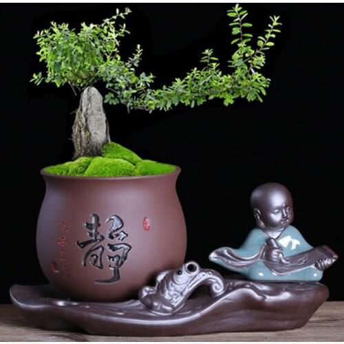 Creative Stoneware Purple Clay Flower Pot Succulent Bonsai Pot Butterfly Orchid Pot Orchid Asparagus Plant Pot Special Clearance