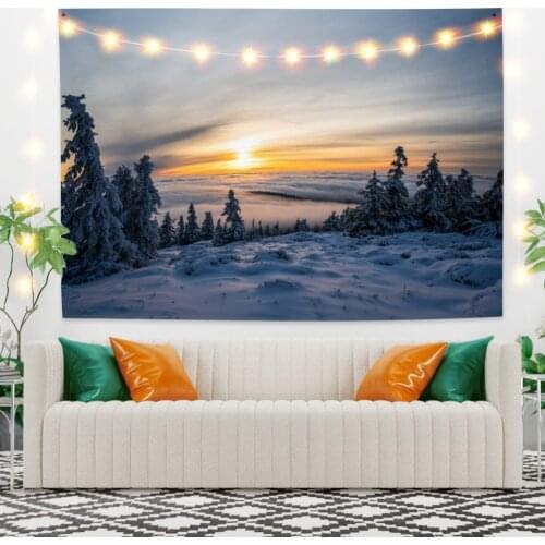 Sun and Snow Landscape Tapestry Vintage Exotic Summer Plant Nature Frame for Bedroom Photography Wall Decor