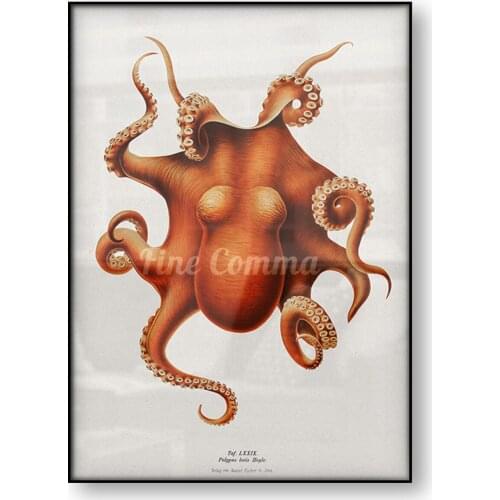 Octopus Poster Ocean Sea Animal Vintage Art Carl Chun Marine Life Science Art Painting Canvas Print Room Decor Wall Art Picture