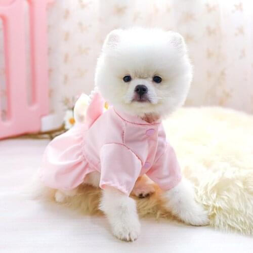 Pomeranian Dress Cat Dog Clothes Spring Autumn Winter Pet Clothing Princess Skirt Yorkshire Poodle Bichon Schnauzer Costume XS