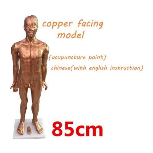 Pure copper electroplating PVC plastic teaching acupuncture point model traditional Chinese medical body model 85cm human model