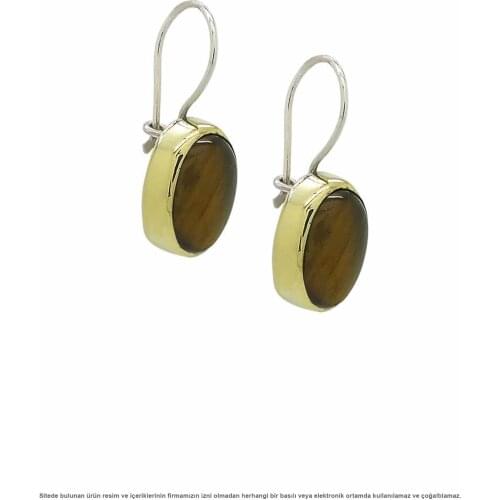 Silver Tiger Eye Womens Earrings