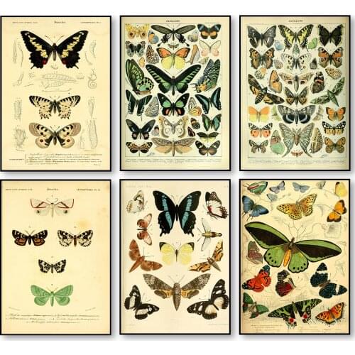 Nordic Retro Butterfly Illustrated Picture Antique Old Book Page Printing Canvas Painting Home Living Room Study Decor Poster