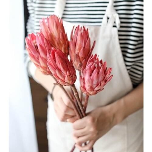 Natural Africa Snow Lotus Dried Flowers vintage Luxury Indie Room Decoration Accessories Party Home Decor Table Centerpieces