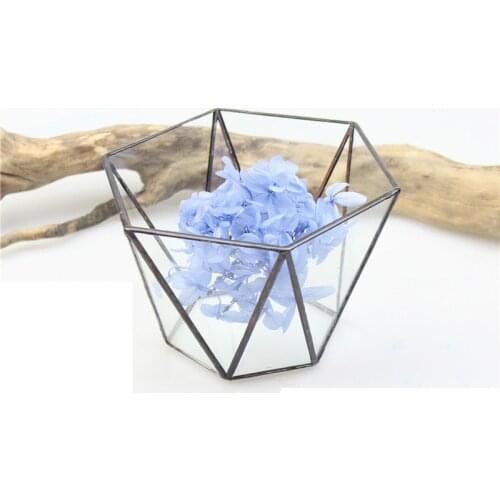 Hexagonal geometry Micro- Landscape Plant Transparent Glass Flower Room Glass flower pot Home Decoration Ornaments Crafts
