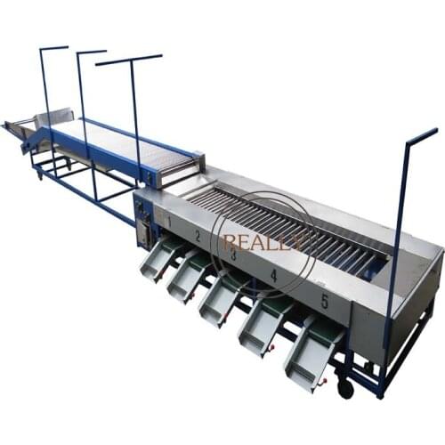 Fruit Sorting Machine Cherry Tomatoes Sorting Classification Machine Hawthorn Classifier