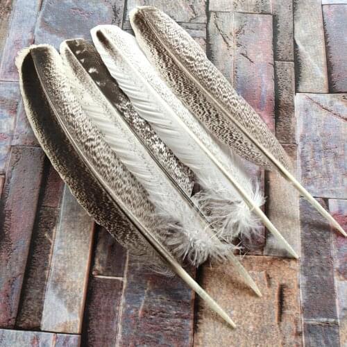 Wholesale Hot 10PCS Beautiful 24-26 CM Natural Wild Turkey Tail Feathers For Wedding Christmas Decoration