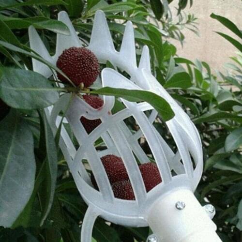 Dropshipping Fruit Picker For Bayberry Harvester For Berries Picking Machine No Need Ladder Wheat Field Fruits Picking Tools Hot