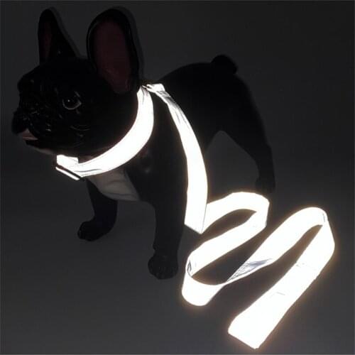 Fashion Reflective Fabric 3.8cm Dog Personalized Collar Luminous Collar 150cm Dog Lead Nylon Dog Collar And Leash Set New-2020