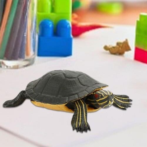 Animal Simulation Tortoise Desktop Ornament Kid Present Educational Model Doll