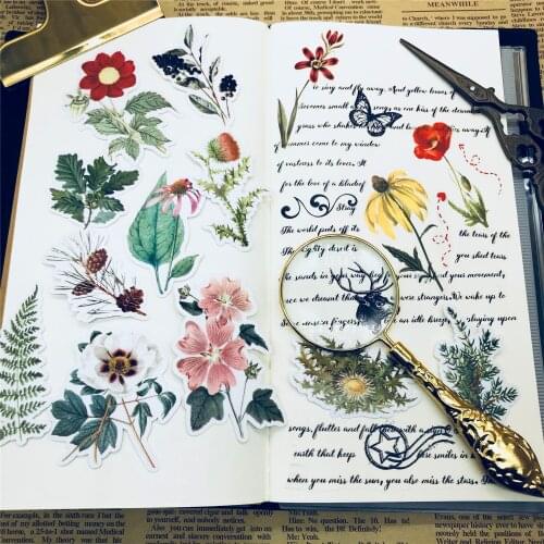 31pcs Hand Drawing Vintage Handbook Decoration TN Small Size Retro Flowers Stickers Plants Chart/ washi paper sticker