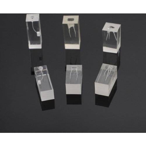 Dental School Resin Endodontic Student Study Teaching Practice Operation Model