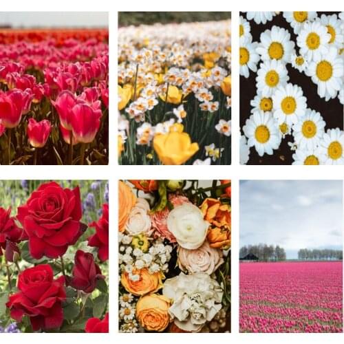 SenyuArt 5D DIY Dimand Painting Kit Colorful Flowers Full Drill Square Round Rhinestones Cross Stitch Embroidery Home Decoration