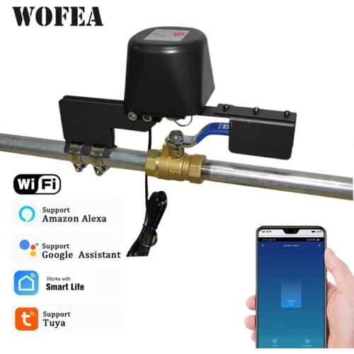 Custom order & extra cost