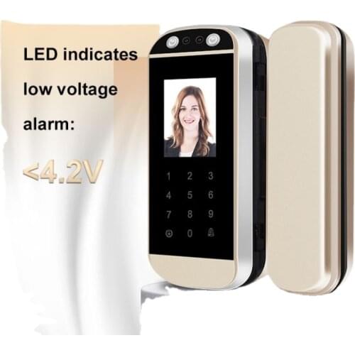 Digital Aluminum Smart Fingerprint Remote Control Sliding Push Face Recognition Glass Door Lock