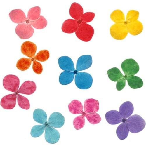 36PCS Hydrangea Natural Dry Flower For DIY Painting Wedding decoration accessories Home Decor Fragrant Dried Flowers