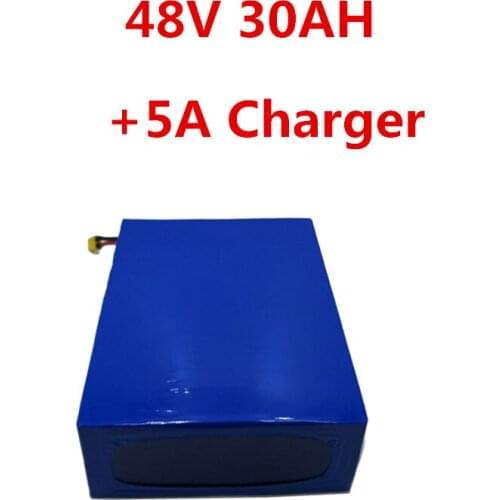 48V 30AH 2000W 1500W Electric motorcycle Battery electric tricycle battery Electric Scooter With 5A Charger 50A BMS