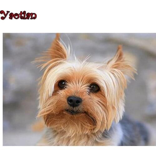 Yorkshire Terrier diamond embroidery full square drill diy Rhinestone painting cross stitch animal diamond painting mosaic home
