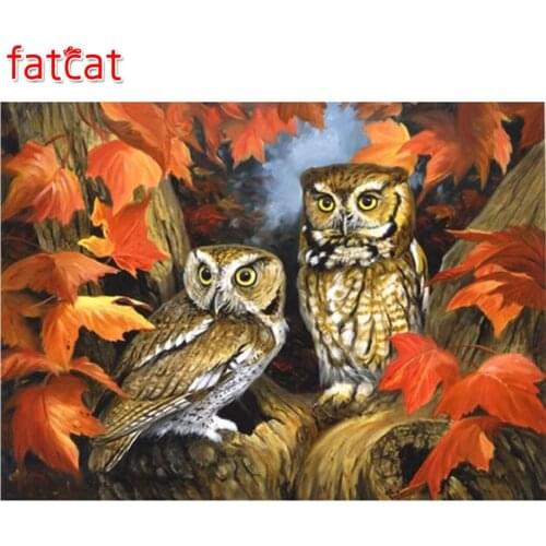 FATCAT Night owl 5D Diy Full Square Round diamond Painting Cross Stitch kits Diamond Mosaic animals Diamond Embroidery AE502