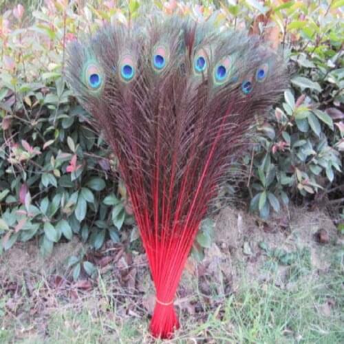 Wholesale 20pcs/lot 55-60cm/22-24'' beautiful natural red peacock feathers eyes for DIY clothes decoration