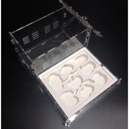 Transparent Ant Villa Flat Nest Ant Workshop Acrylic Ant Small Community Feeding Box