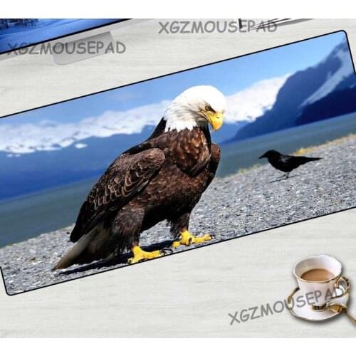 XGZ Animal Landscape Large Mouse Pad Lock Edge Snow Mountain Eagle Laptop Desk Mat Beach Washable Fabric Non-slip Bottom