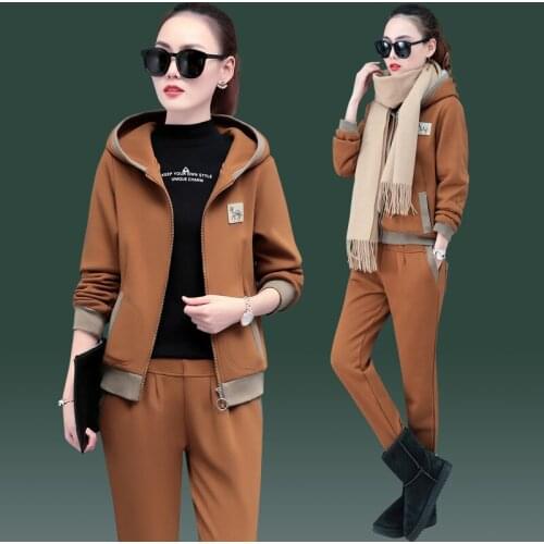 Winter 2020 Womens Brand Velvet FabricThickened Fleece Suit Women Track Suit Hoodies And Pants fat sister sportswear 3 sets