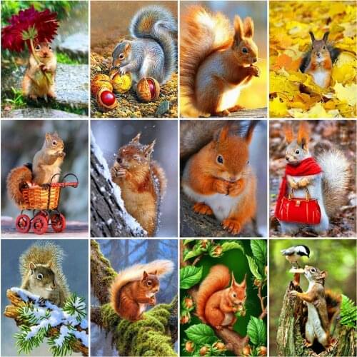 Huacan 5D Diamond Embroidery Mosaic Squirrel Diamond Painting Full Square Animal Bedroom Decoration