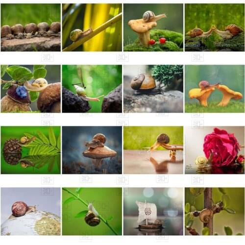 Snail Mushroom Diamond Painting Art Handmade Diy Home Decoration Modern Cute Animal Picture Diamond Embroidery Home Art Gift