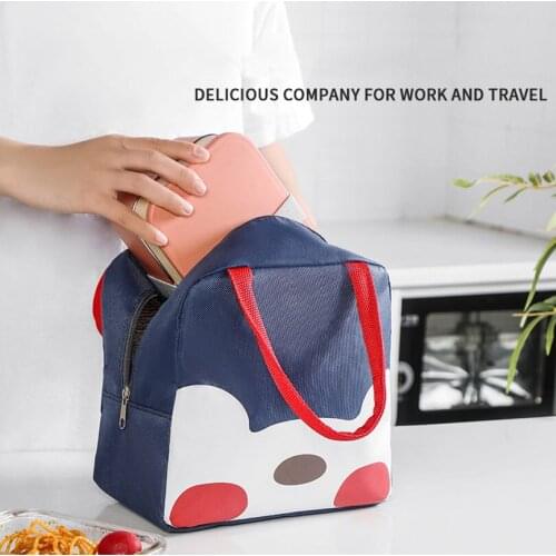 Portable lunch bag for women cartoon kids Convenient bento cooler bag Cartoon thermal breakfast food box picnic travel Tote