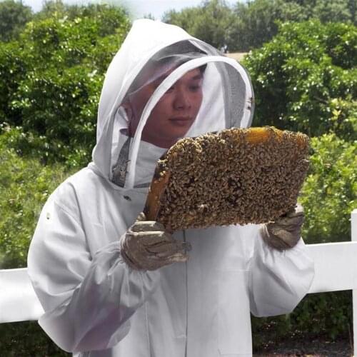 Beekeeping tools anti-bee suit space suit & anti-bee one-piece suit