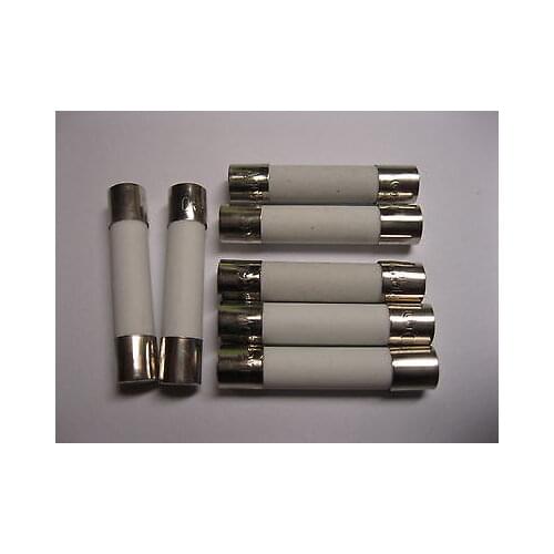 100 Pcs Fast Blow Ceramic Fuses 3A 250V 6mm x 30mm