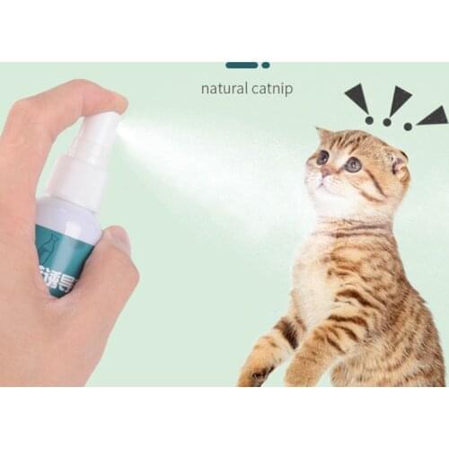 50ml Cat Catnip Spray Pet Training Toy Organic Natural Healthy Kitten Cat Mint Funny Scratching Toy