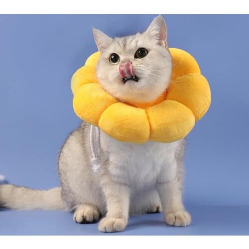 Elizabethan Collar Cute Cat Puppy Neck Protective Circle Collar