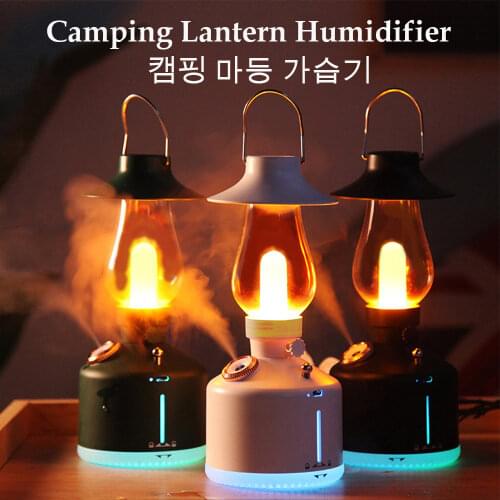 FTOYIN Portable Lamps