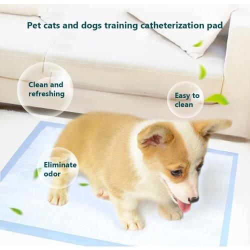 Pet supplies cat and dog changing pads, dog diapers, disposable thickened pet diapers and deodorizing diapers