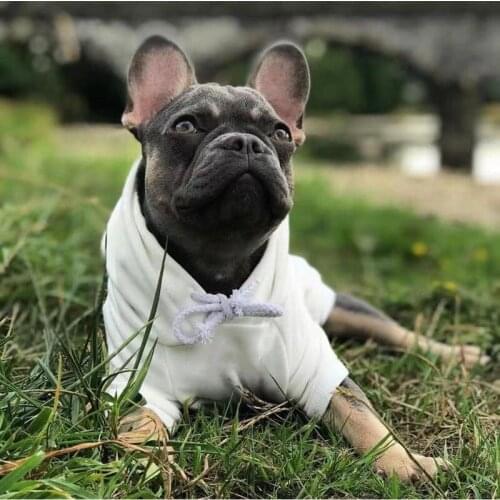 French Bulldog Dog Cotton Hoodie Winter Pet Coat Jacket Sweater Clothes For Small Medium Dogs Schnauzer Chihuahua Pug WSC26