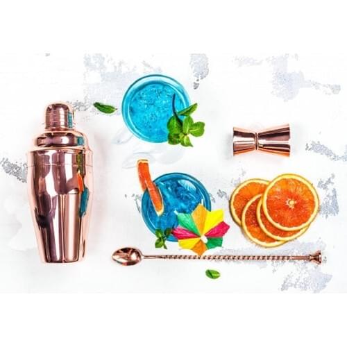 Zicco Copper Cocktail Preparation Set 3 Piece