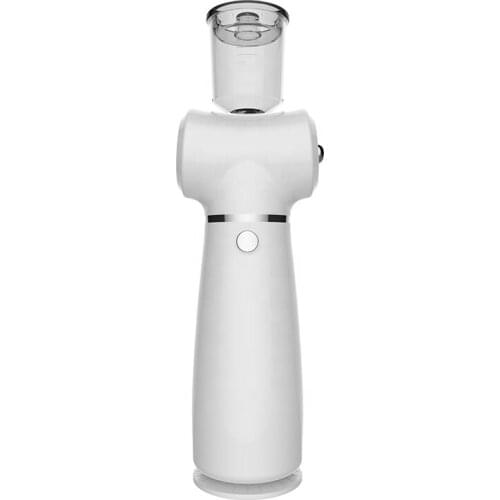 Household Mini Facial Water Oxygen Injector High-pressure Nano Fog Mist Sprayer Infusion Essence Spray Gun Skin Care Device